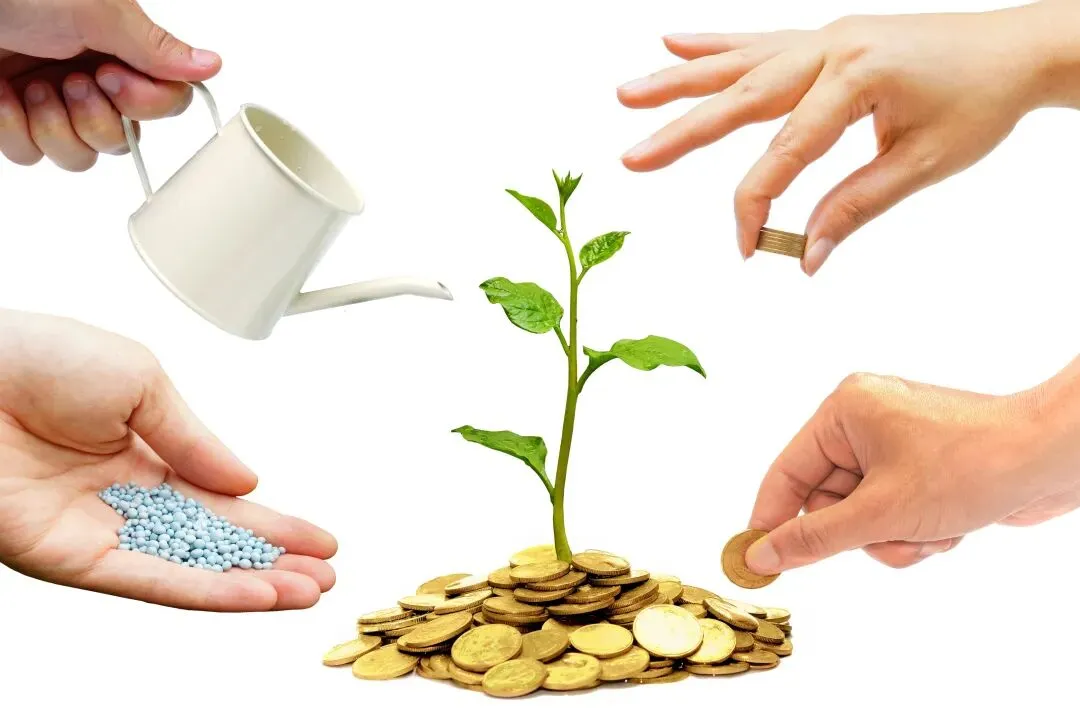 吴晓求:“三端”改革应体现市场底层逻辑 | 专家观点