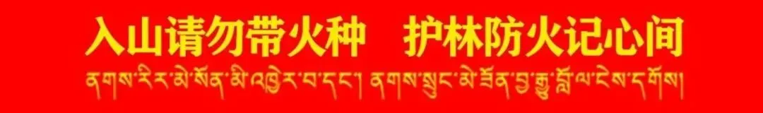 察隅县市场监管局延时服务获赞誉,营商环境再添温情