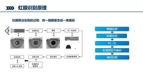 市场大热、企业喊亏:智能锁行业 “叫好不叫座” 的矛盾本质
