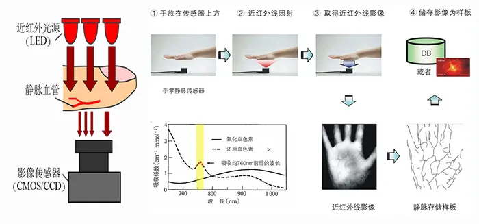 市场大热、企业喊亏:智能锁行业 “叫好不叫座” 的矛盾本质