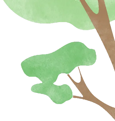 花鸟市场里的飞羽精灵