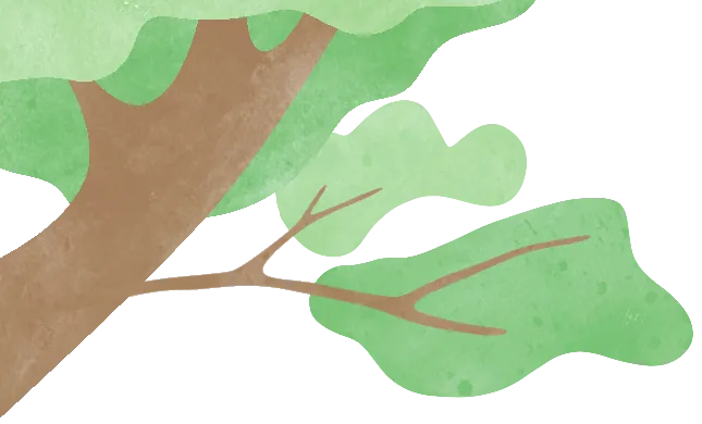 花鸟市场里的飞羽精灵