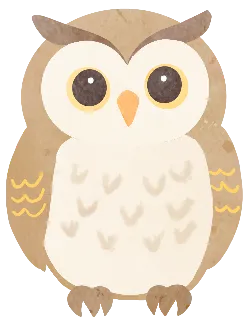 花鸟市场里的飞羽精灵