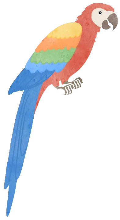 花鸟市场里的飞羽精灵