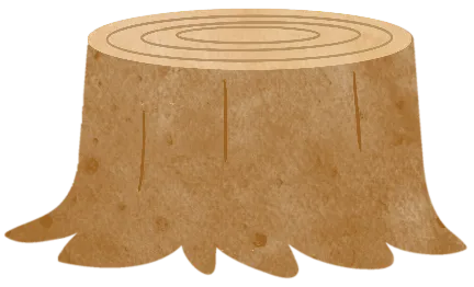 花鸟市场里的飞羽精灵