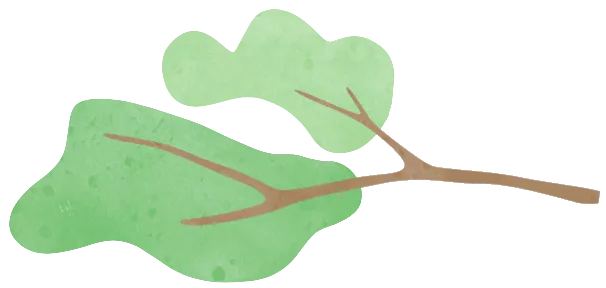 花鸟市场里的飞羽精灵