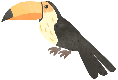 花鸟市场里的飞羽精灵