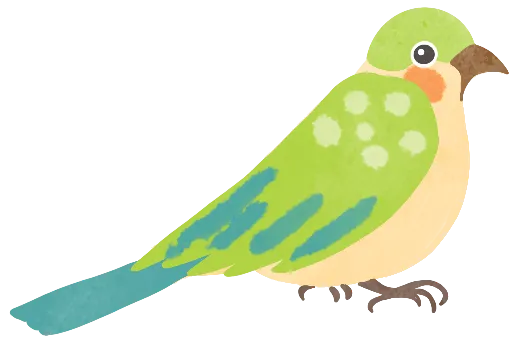 花鸟市场里的飞羽精灵