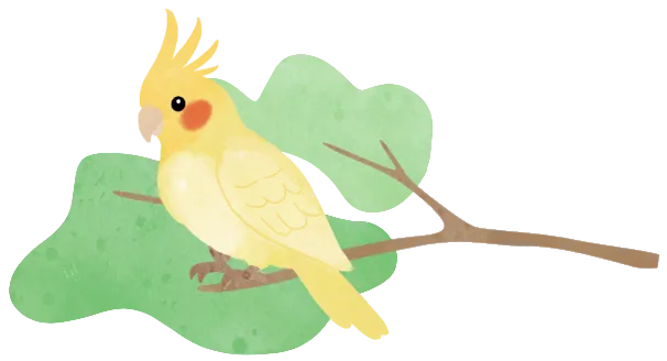 花鸟市场里的飞羽精灵