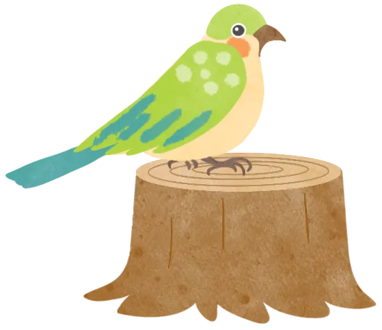 花鸟市场里的飞羽精灵