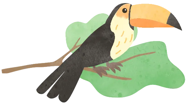 花鸟市场里的飞羽精灵