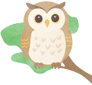 花鸟市场里的飞羽精灵