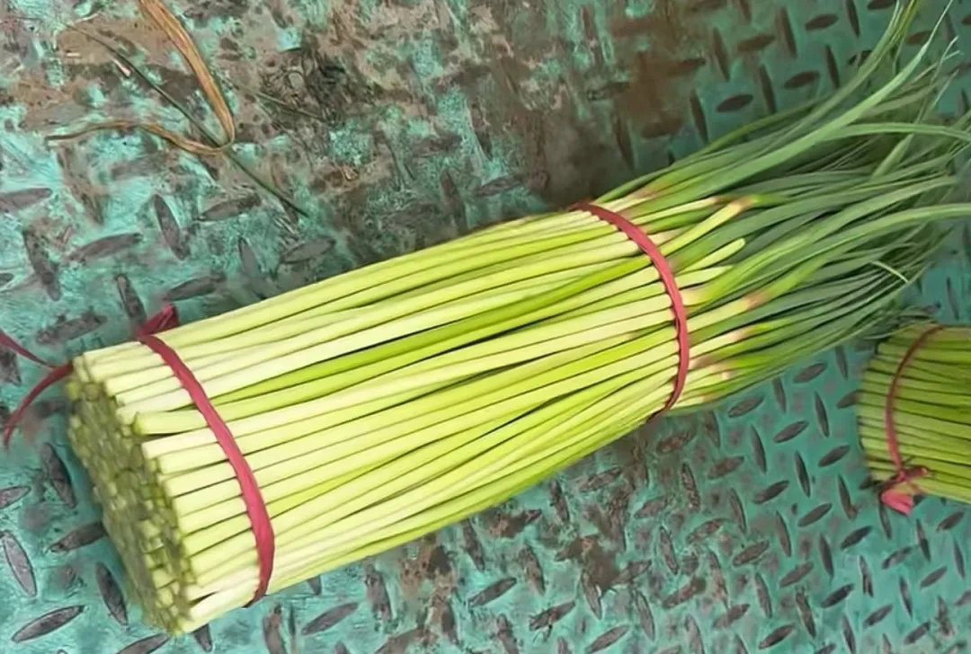 2026年4月4日金乡大蒜国际交易市场大蒜、干椒行情