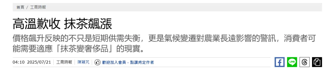 一抹茶香的千面镜:中国抹茶市场的繁荣、迷思与文化回归