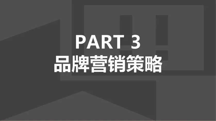 即食营养代餐产品摇摇饭新品营销策划方案