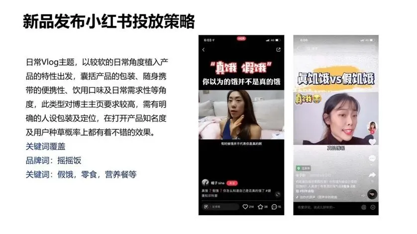 即食营养代餐产品摇摇饭新品营销策划方案