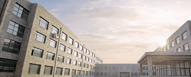 锚定专业方向,启航学业征程——市场营销专业人才培养方案解读会