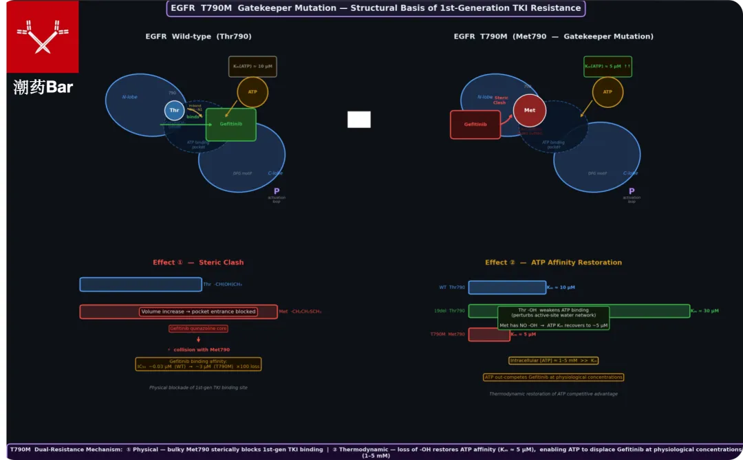 四代TKI长文——现在市场真的需要四代药吗?