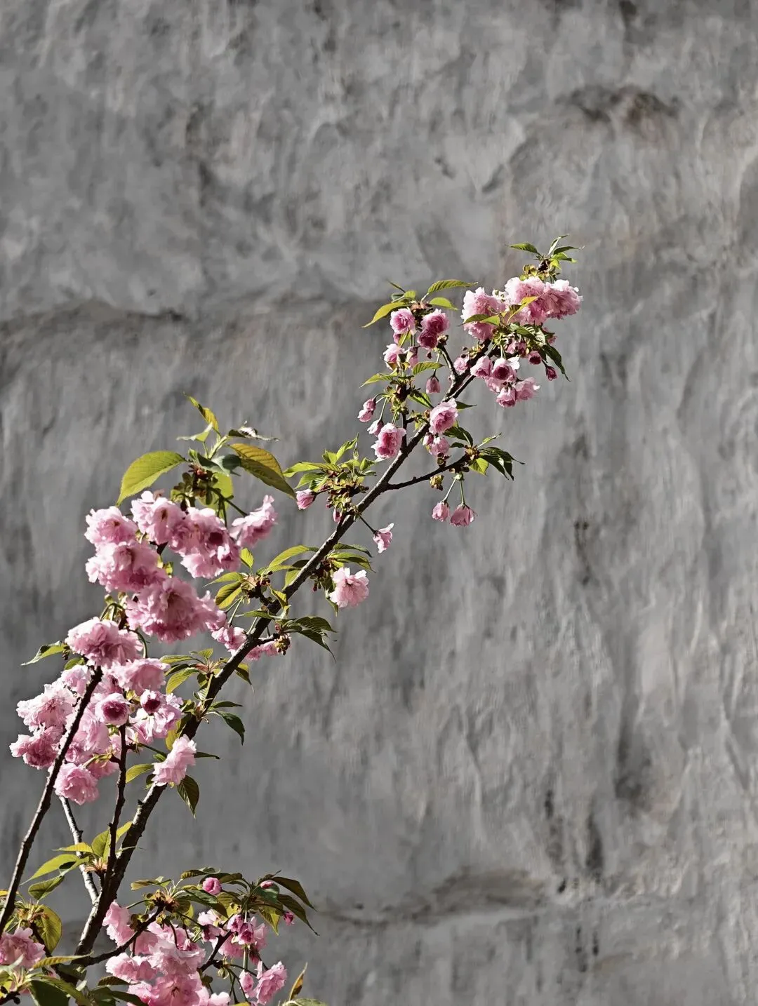 清明节放假,不谈市场,谈谈道家文化中离火运的话题