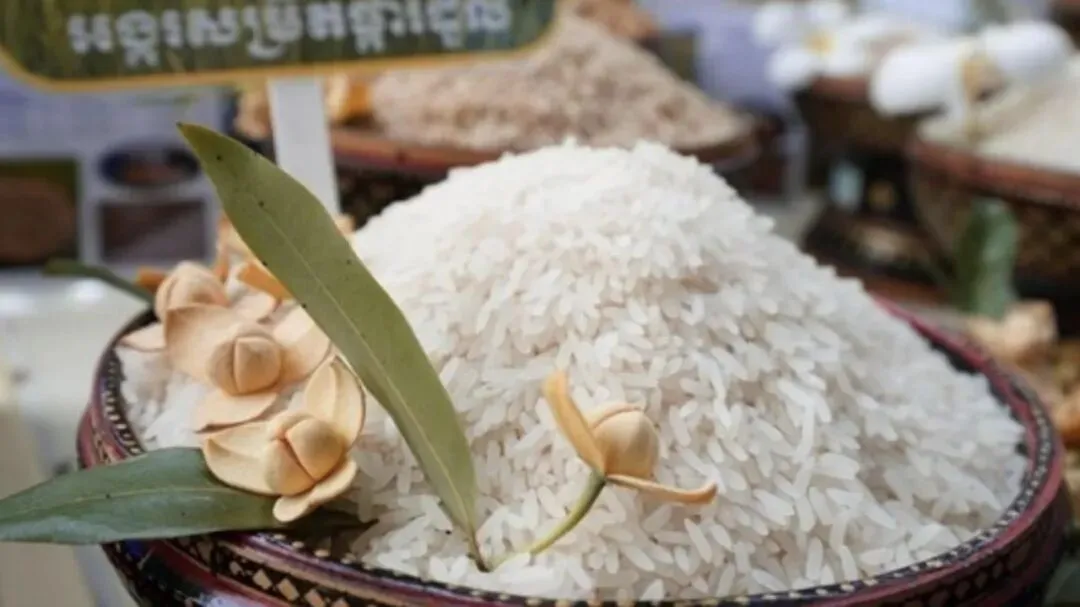 柬埔寨高端香米迈向国际市场, “Golden King” 品牌在香港网点上市