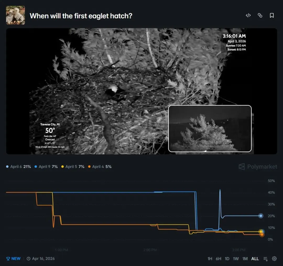 Polymarket重大事件:预测市场的“自然实验”,从白头海雕孵化看Web3公益的新边界