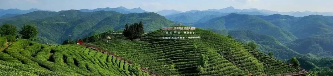 多部门联合行动!安康城区整治祭祀用品市场!