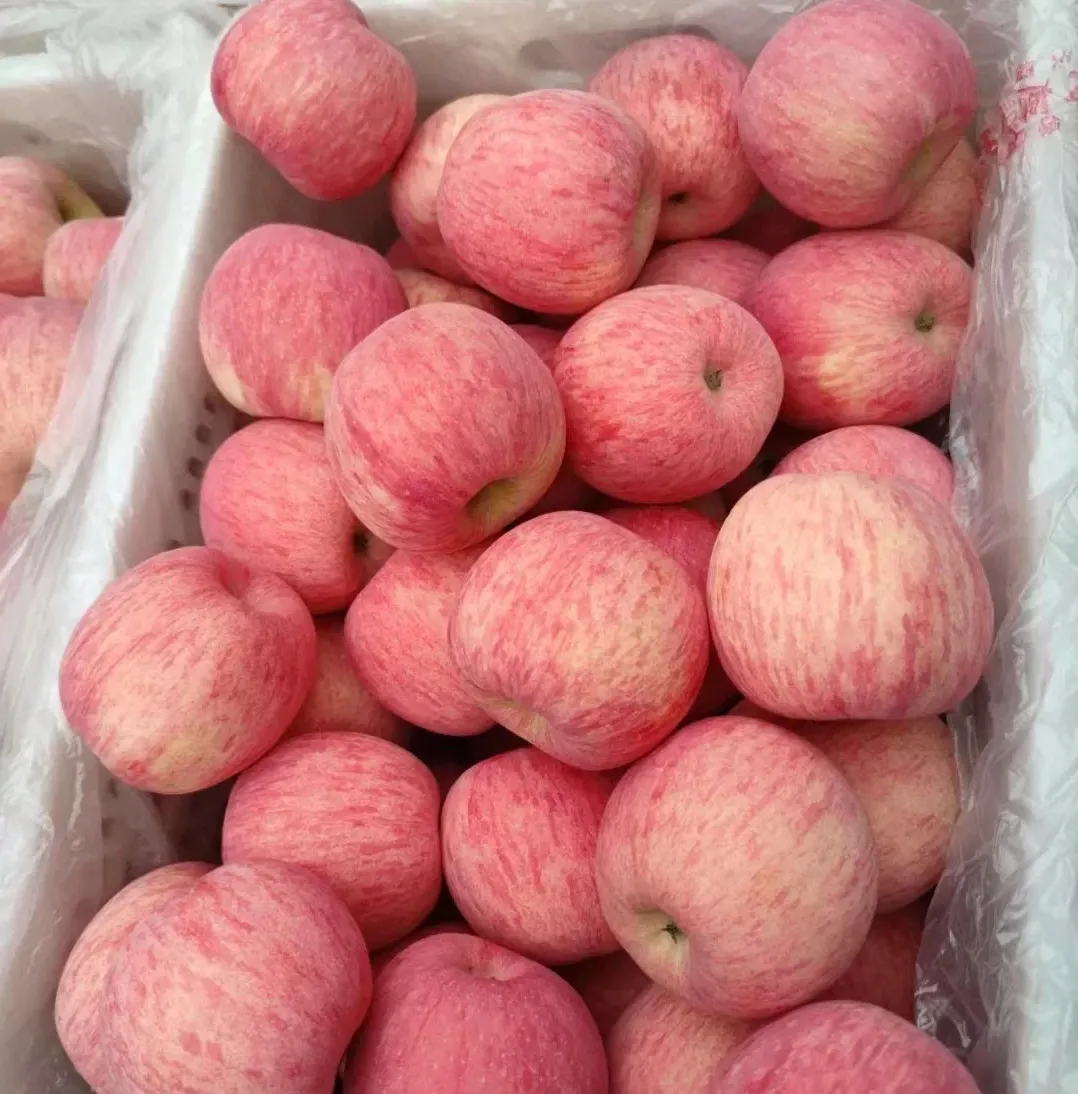 市场苹果价格贵?2026年4月最新苹果价格行情