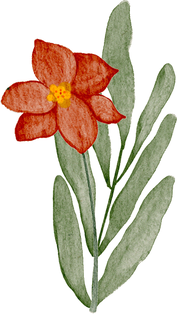 2026.04.04昆明水果市场进口区行情