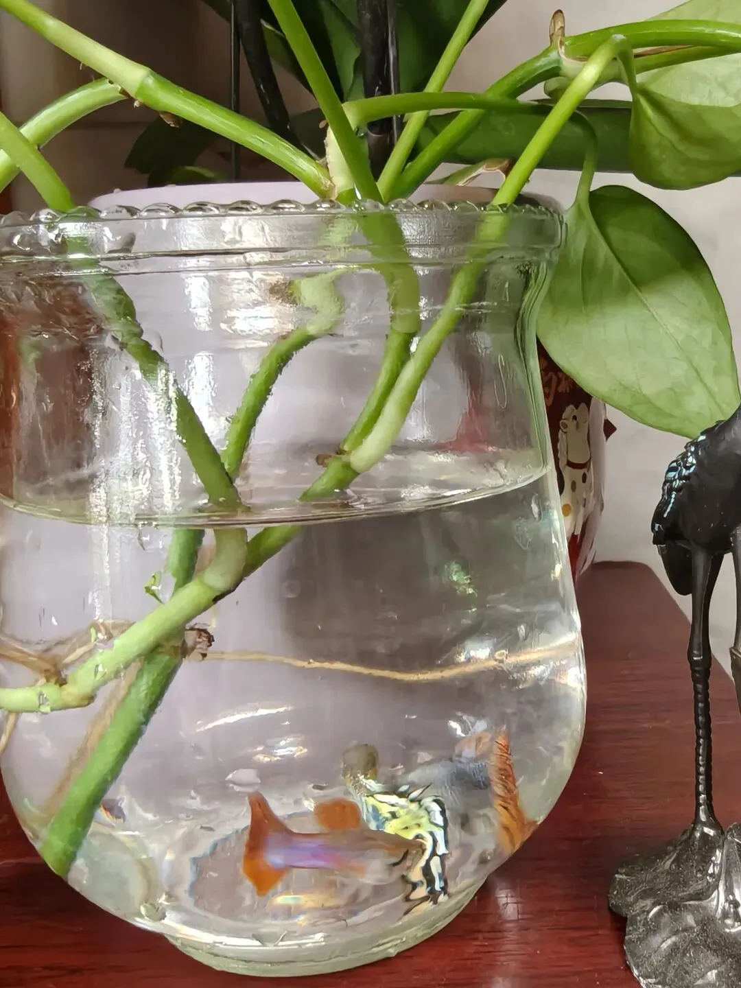 市场圩日(周六)