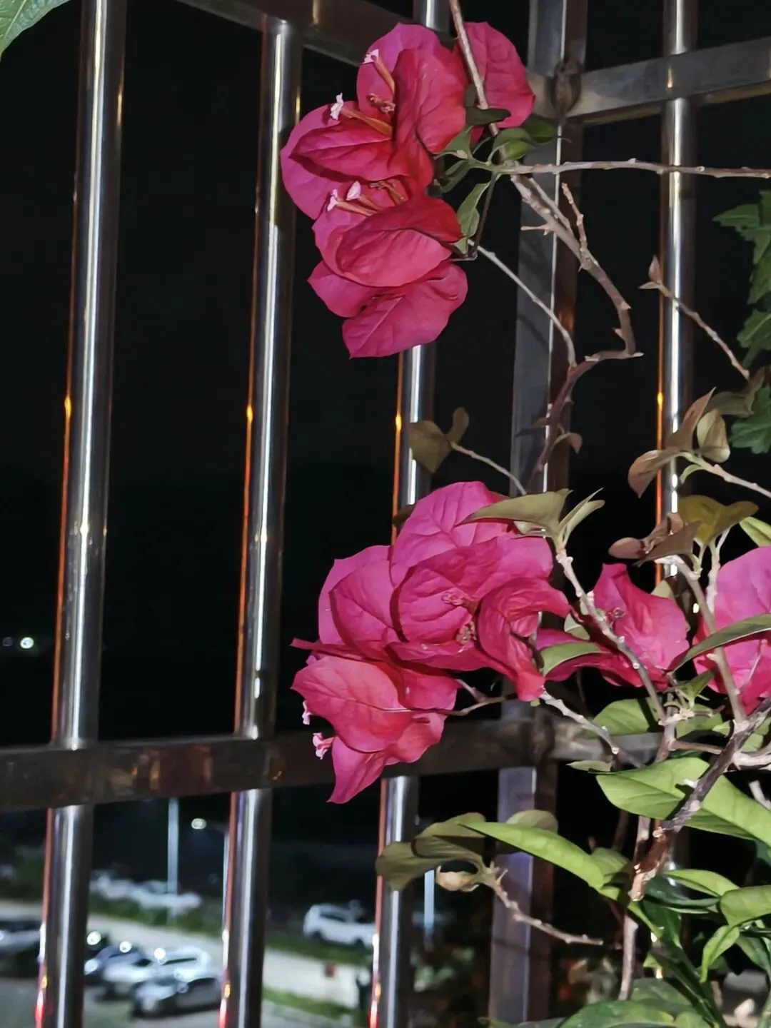 市场圩日(周六)