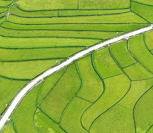 五十年代6种老物件,图2市场值上万元,后三个你还知道吗?