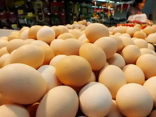 猪贱蛋愁:农产品市场的双重寒冬,抄底还是陷阱?