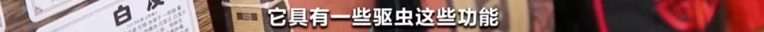 穿出百亿大市场!新风口要来了?