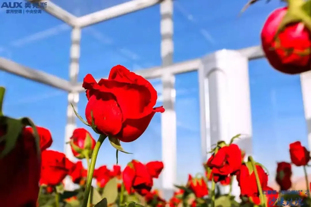 整合营销后的品牌提升,看这个品牌是如何越级飞升的