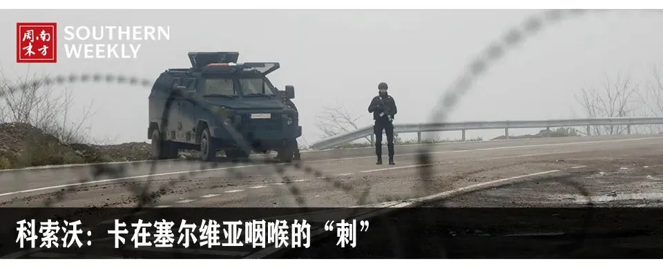 原奶市场怎么了?“未来可能会杀牛,但不会倒奶”