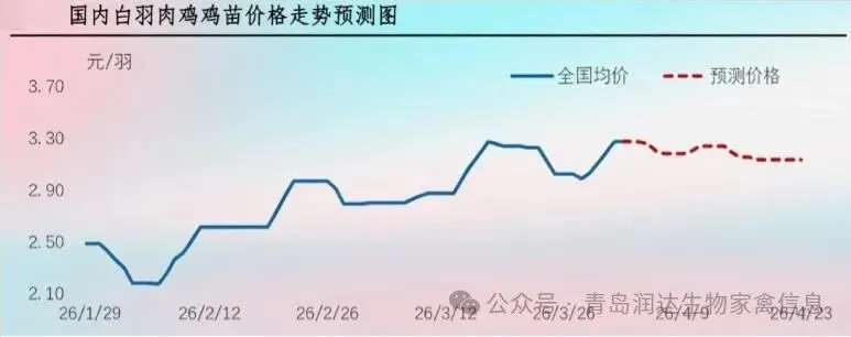 【周报】肉鸡市场行情汇总:出栏对应春节断档期,供应收紧带动价格上涨(20260327-0402)