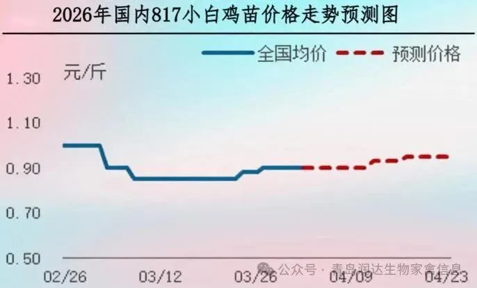 【周报】肉鸡市场行情汇总:出栏对应春节断档期,供应收紧带动价格上涨(20260327-0402)
