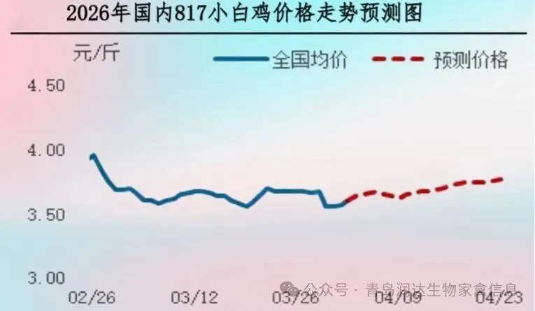 【周报】肉鸡市场行情汇总:出栏对应春节断档期,供应收紧带动价格上涨(20260327-0402)