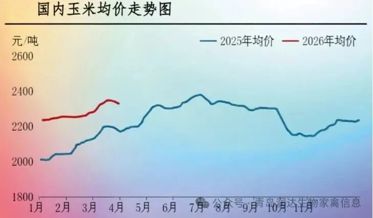 【周报】肉鸡市场行情汇总:出栏对应春节断档期,供应收紧带动价格上涨(20260327-0402)