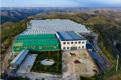 特色乳品 ODM/OEM 自有品牌全案营销