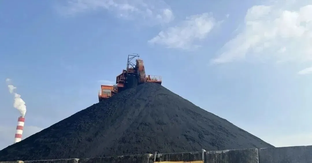 国内石油焦市场价格行情分析