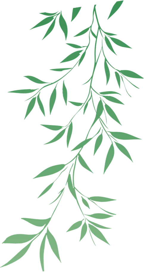 清明假期首日,长春文旅市场“热力全开”