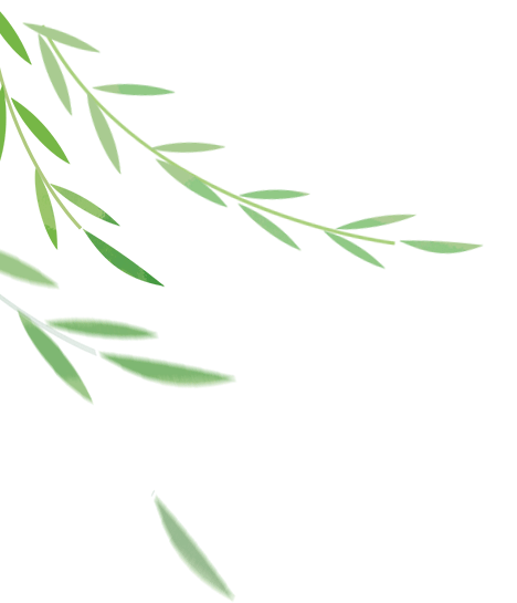 清明假期首日,长春文旅市场“热力全开”