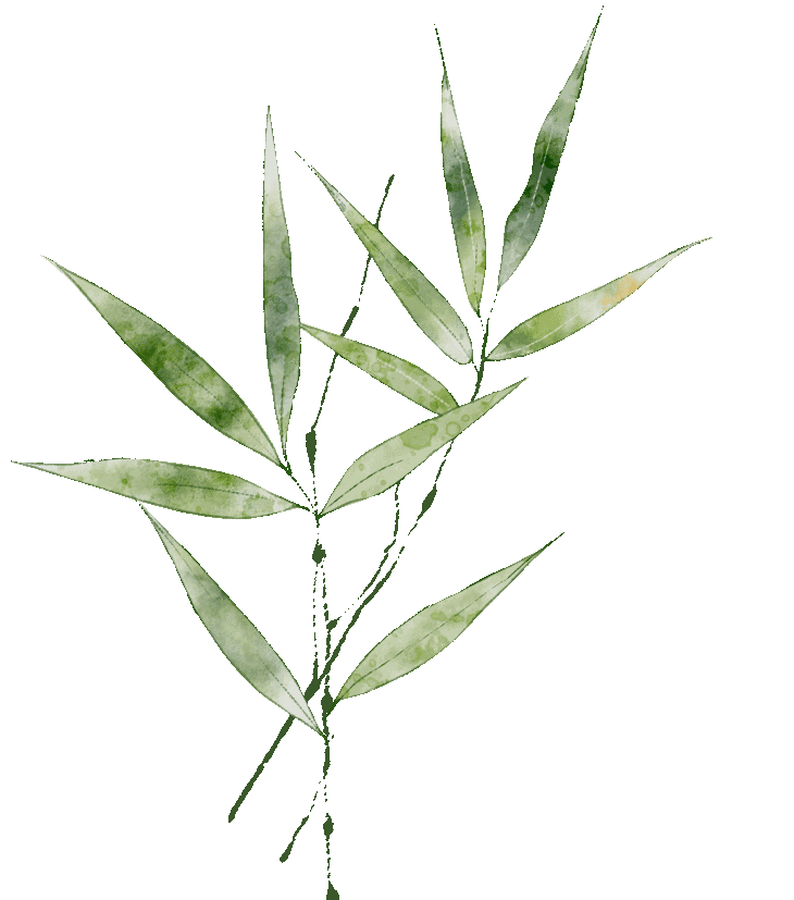 清明假期首日,长春文旅市场“热力全开”