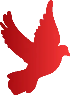 清丰县零工市场招聘信息发布(2026.4.5)