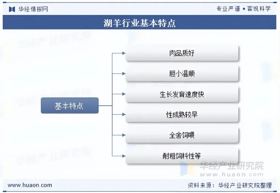2025年中国湖羊养殖行业出栏量、市场规模、相关政策、产业链上下游及发展趋势分析「图」