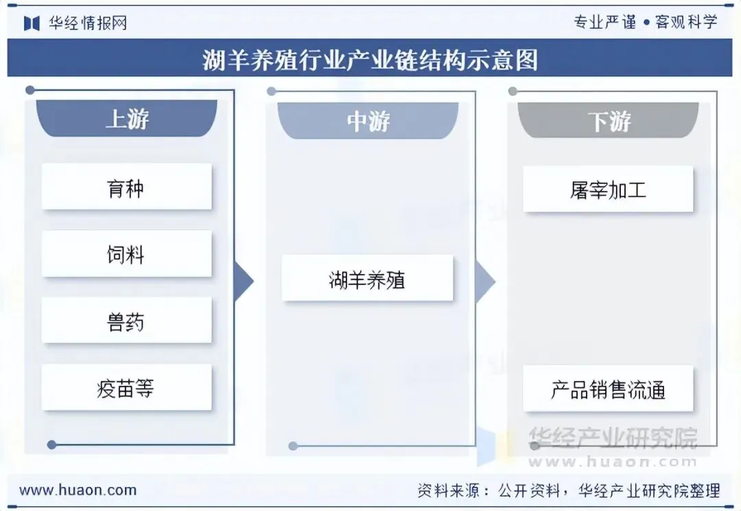 2025年中国湖羊养殖行业出栏量、市场规模、相关政策、产业链上下游及发展趋势分析「图」