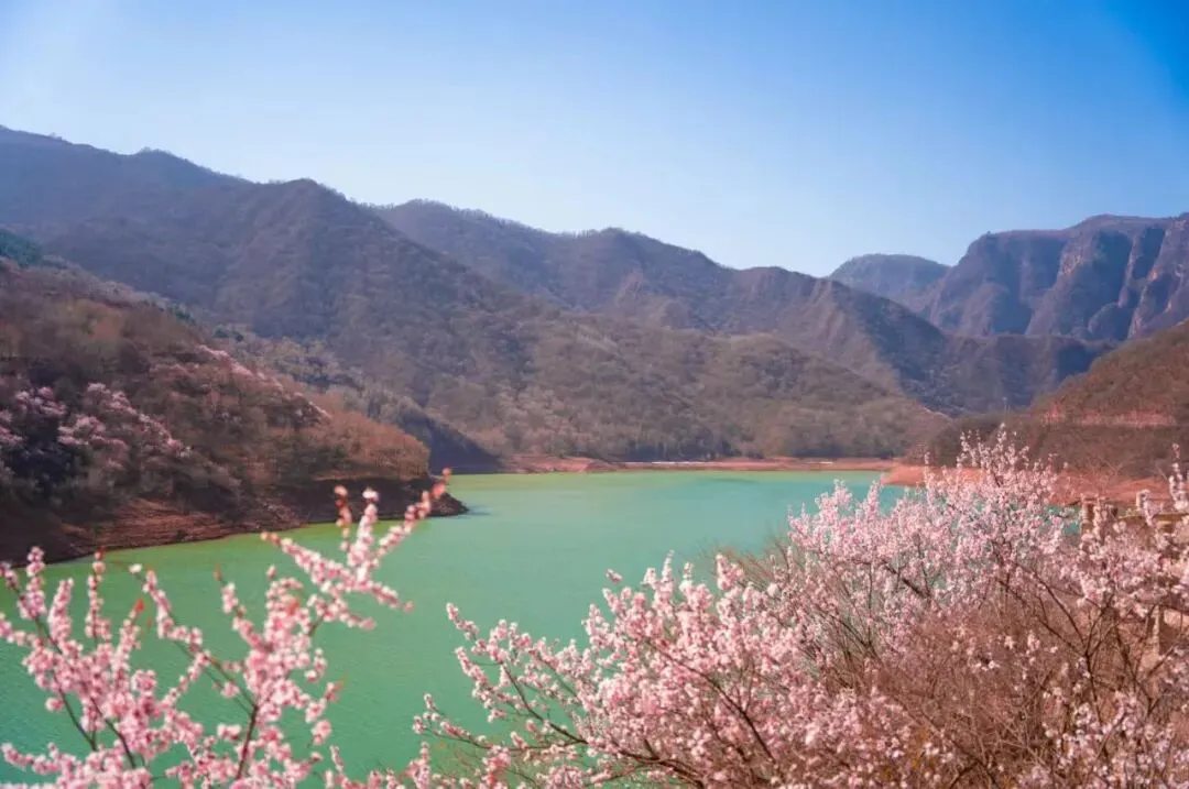 清明假期首日我市文旅市场平稳有序 多彩活动引客来