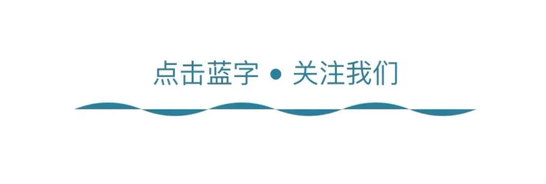 市场里的“老员工”:一只猫的慵懒江湖