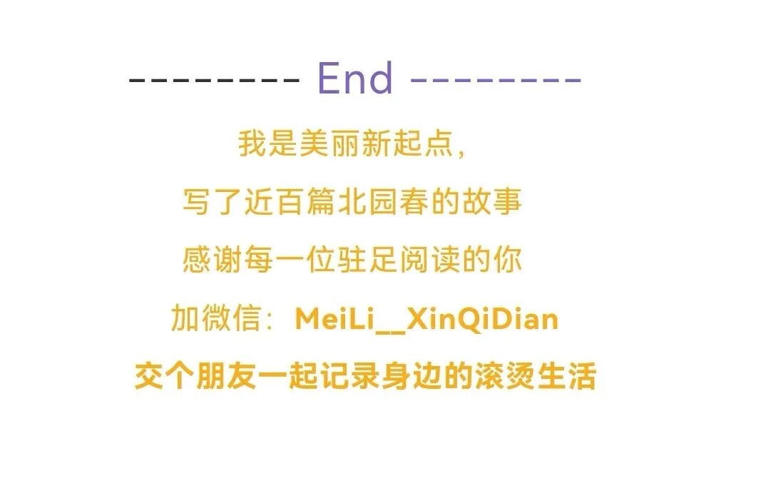 市场里的“老员工”:一只猫的慵懒江湖